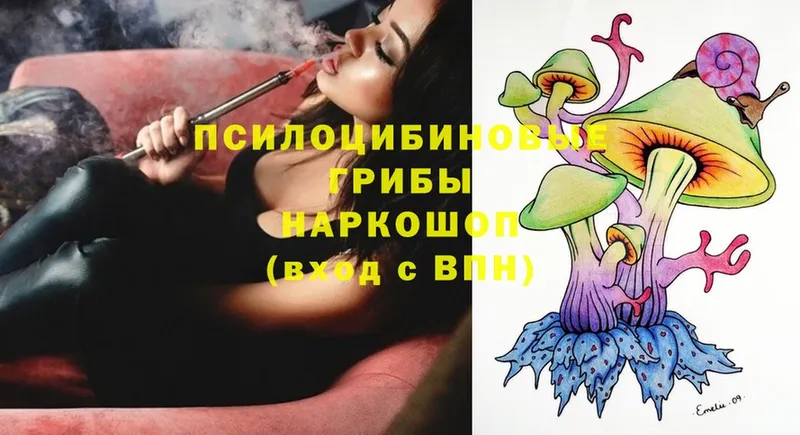 Псилоцибиновые грибы Magic Shrooms  Мамоново 